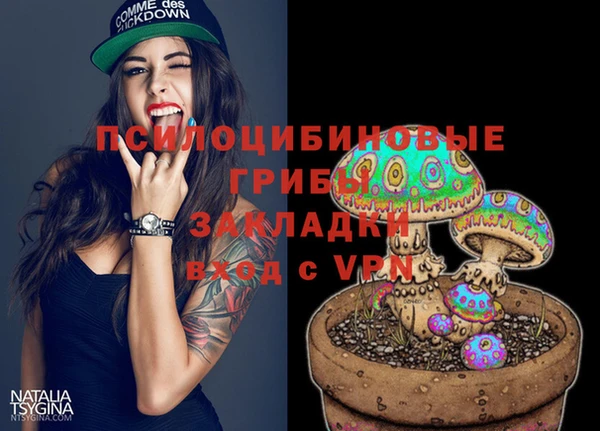 a pvp Алзамай