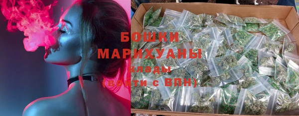 шишки Аркадак