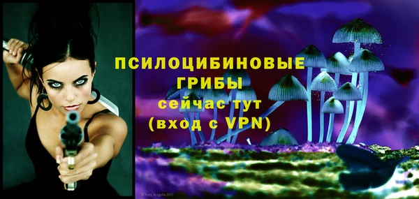 тгк Дедовск