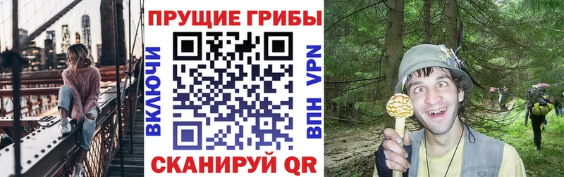 наркотики  Нарткала  Псилоцибиновые грибы Magic Shrooms 