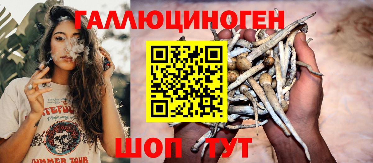 Псилоцибиновые грибы мухоморы Нарткала