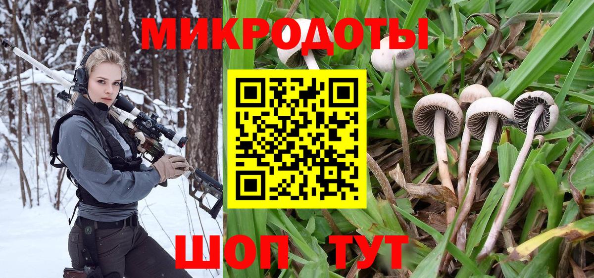Псилоцибиновые грибы мицелий  Вход с VPN  Нарткала  Псилоцибиновые грибы MAGIC MUSHROOMS 